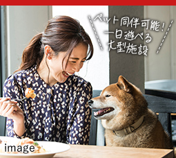 WHATAWON(ワタワン）ペット同伴可能！一日遊べる大型施設